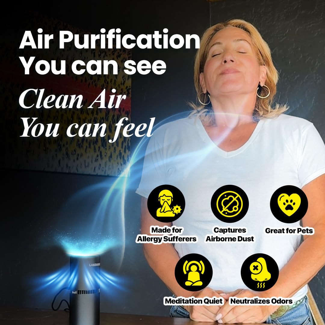 LabCharge Small Ionic Air Purifier for Home & Bedroom – Silent HEPA Filter – Covers 250 Sq Ft – For Pet Hair, Smoke, Dust, Odors & Dander – Compact Black Design – Pack of 5