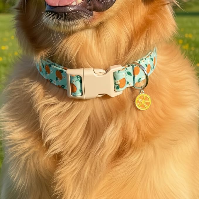 Britwicfr Dog Collar, Spring Summer Dog Collar with Orange Print and Charm, Cute Spring Summer Fruit Collar with Soft & Breathable Fabric, Adjustable Pet Collar for Medium Dogs