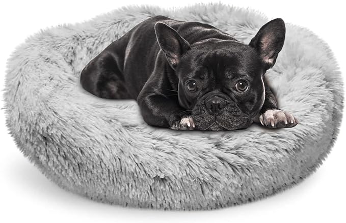 Whiskers & Friends Cat Beds for Indoor Cats & Small Dog, Fluffy Cat Bed