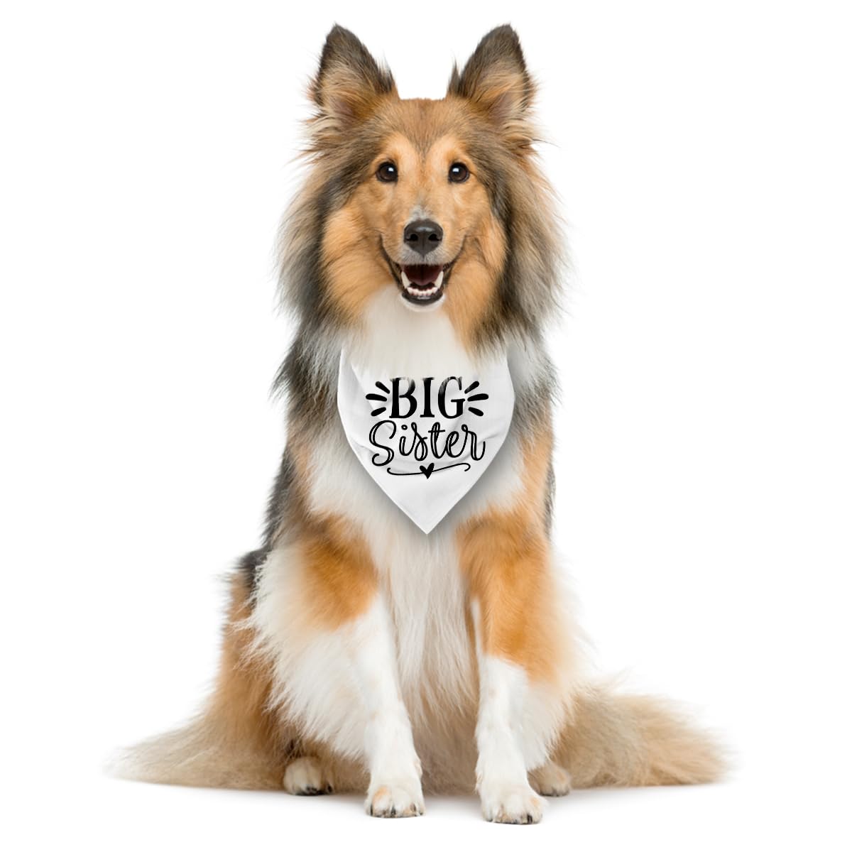 Big Sister Dog Bandana, White Pet Triangle Scarf Accessories, Pet Bandana for Large Dogs, Baby Announcement Dog Bandanas (L)