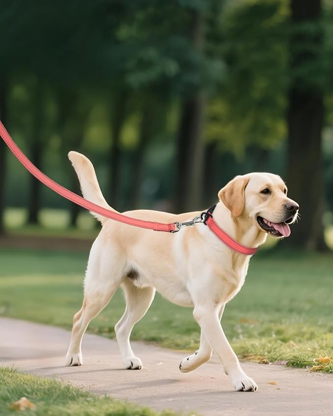 Joytale Reflective Dog Collar, Adjustable Nylon Pet Collar with Quick-Release Buckle for Medium Dogs, Pink, M