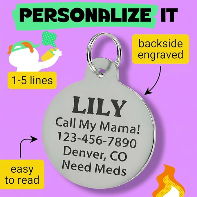 Bad Tags Personalized Dog and Cat ID Tags in 25+ Designs and 2 Sizes - 5 Lines of Custom Engraved Text - Funny Cute Personalized Pet Tags (Silently Judging - Purple, Large (1.25 inch))