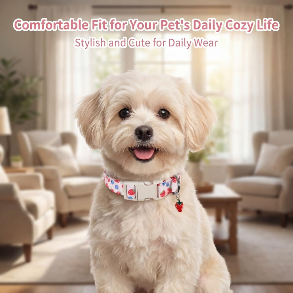 Britwicfr Girl Dog Collar, Cute Dog Collar for Medium Dogs with Cute Strawberry, Cherry and Blueberry Print, Pink Collar for Dogs with Quick-Release Buckle and Robust D Ring, M