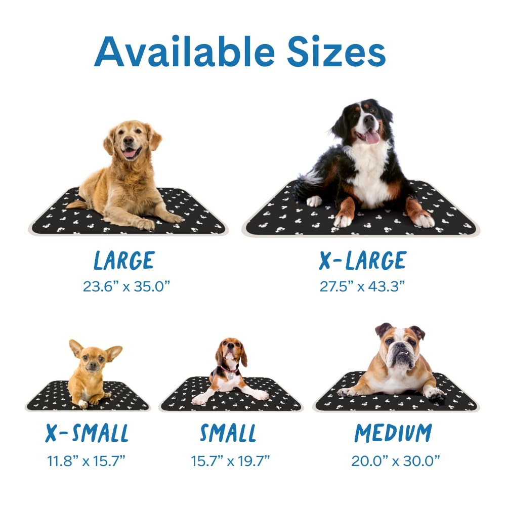 The Green Pet Shop Cool Pet Pad - Extra Small, Disney’s Mickey & Minnie Mouse - Self-Cooling, Pressure Activated Mat for Dogs & Cats from 0-8 lbs - Non-Toxic Gel, No Water Needed