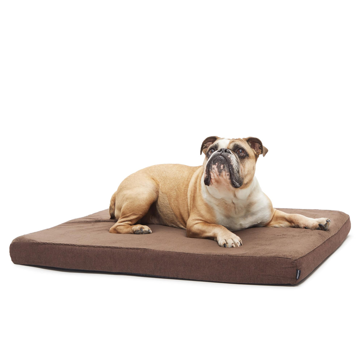 BarkBox Orthopedic Dog Bed - Small