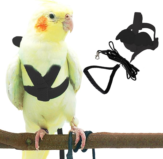 Dnoifne Parrot Harness and Leash, Adjustable Training Design Anti-Bite, Nylon Rope with Cute Wing for Parrots, Suitable for Alexandrine, Scarlet, Keck, Mini Macaw & Same Size Bird (Blue)