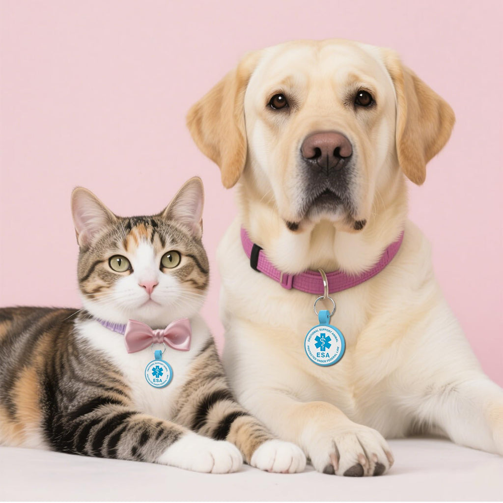 [Pack of 2] Dog Tags Personalized for Pets - Writeable Cat & Dog Name Tag
