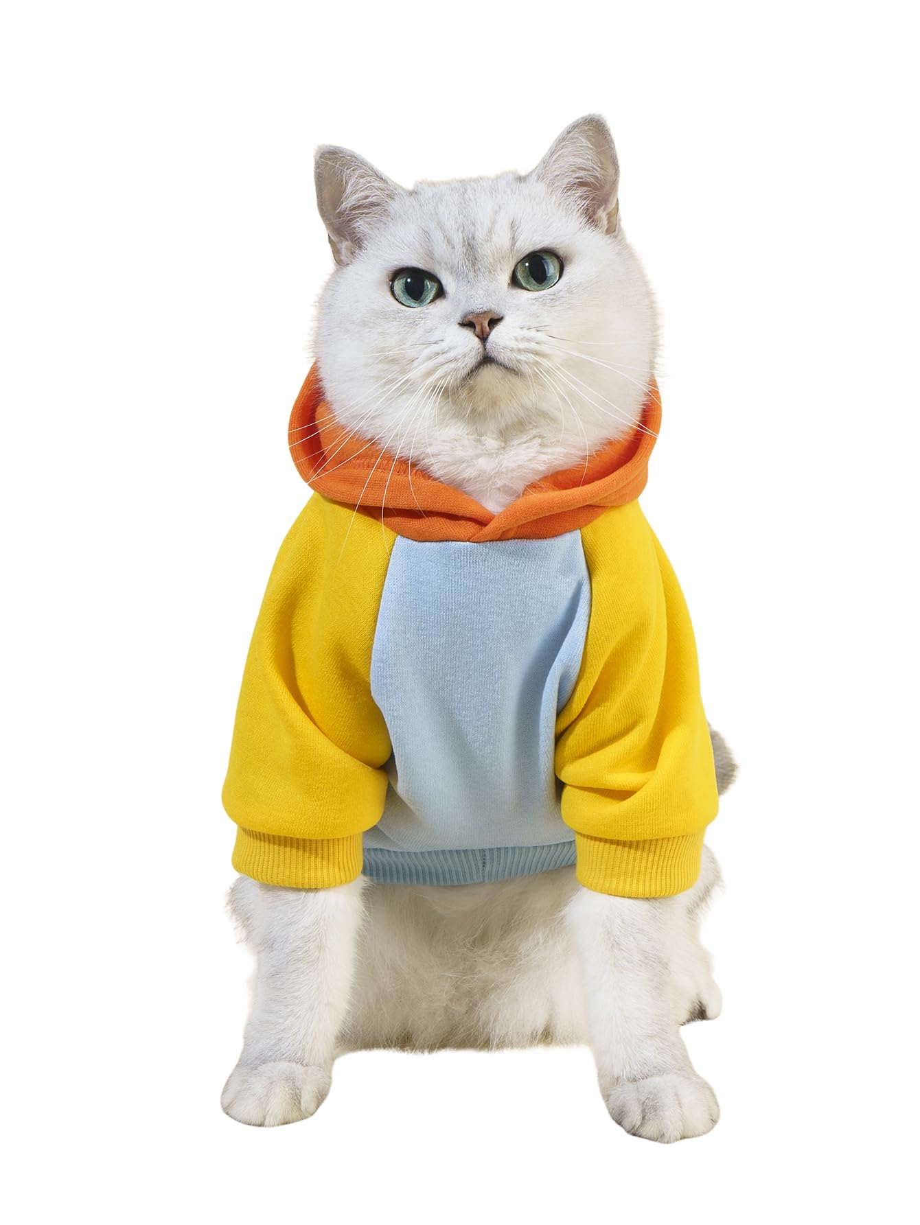 QWINEE Basic Dog Hoodie Sweatshirt Puppy Sweater Warm Cat Costumes Pet Clothes for Chihuahua Puppy Kitten Small Medium Dogs Orange and Blue Small