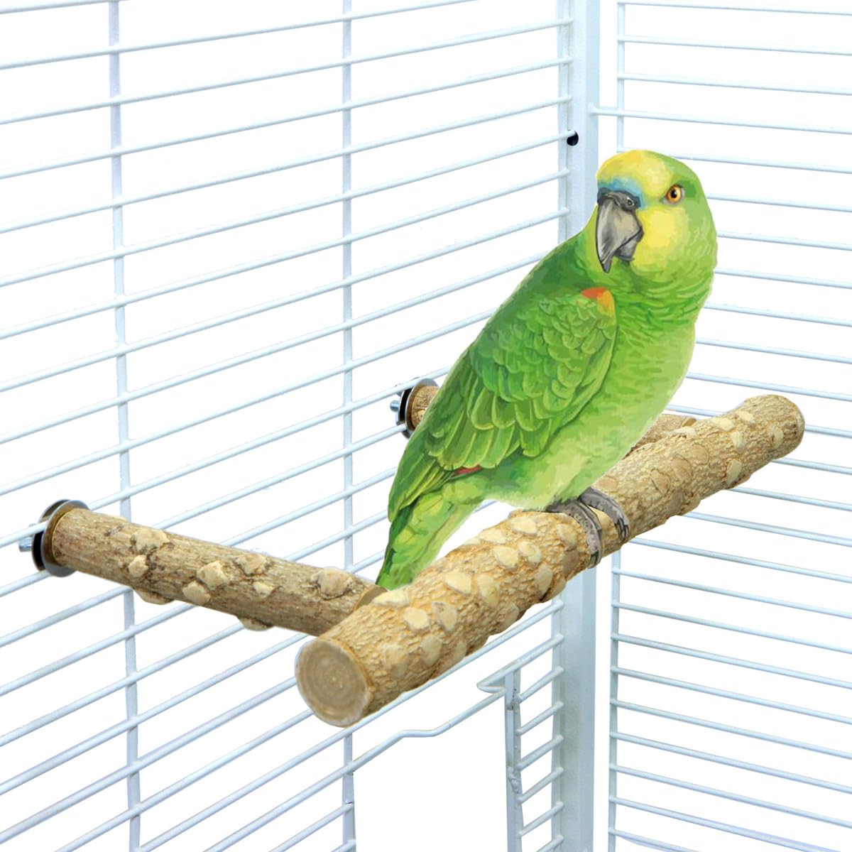 Bird Perch Stand,Natural Wood Cage Gym Toy Branch for Small Large Parrot