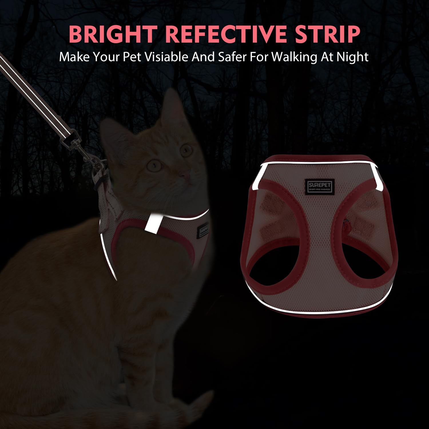 Betmaypet Cat Harness and Leash Set, Soft and Breathable Vest with Reflective Strip, Escape Proof Kitten Harness, Easy to Wear for Cats Walking and Traveling (Blue, XXS)