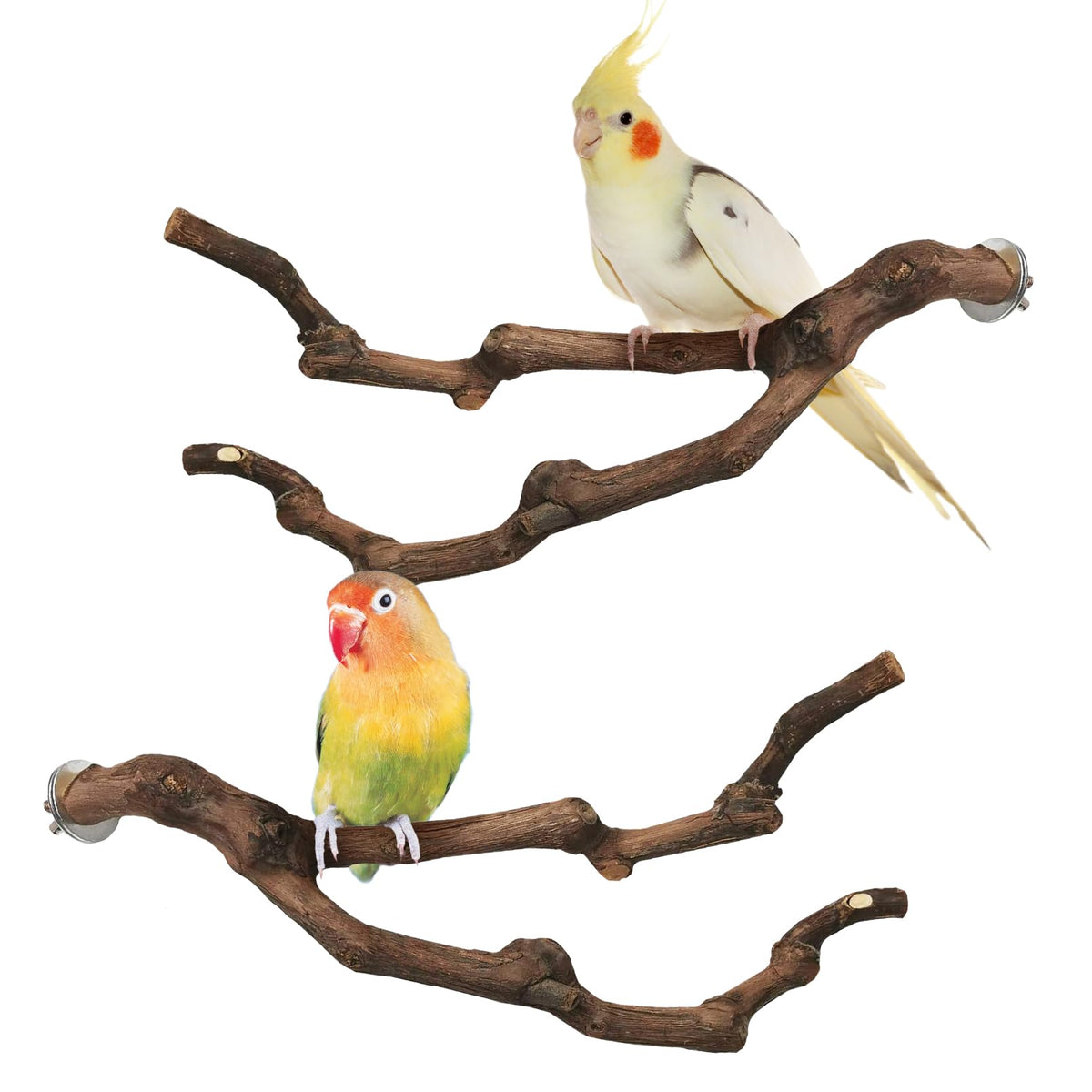 PINVNBY Natural Parrot Perch Grape Wood Bird Stand Pole Parakeet Paw Grinding Fork Chewable Climbing Branches Toy Bird Cage Accessories for Budgies Conures Cockatiels Lovebirds (2 PCS, 5.9IN)