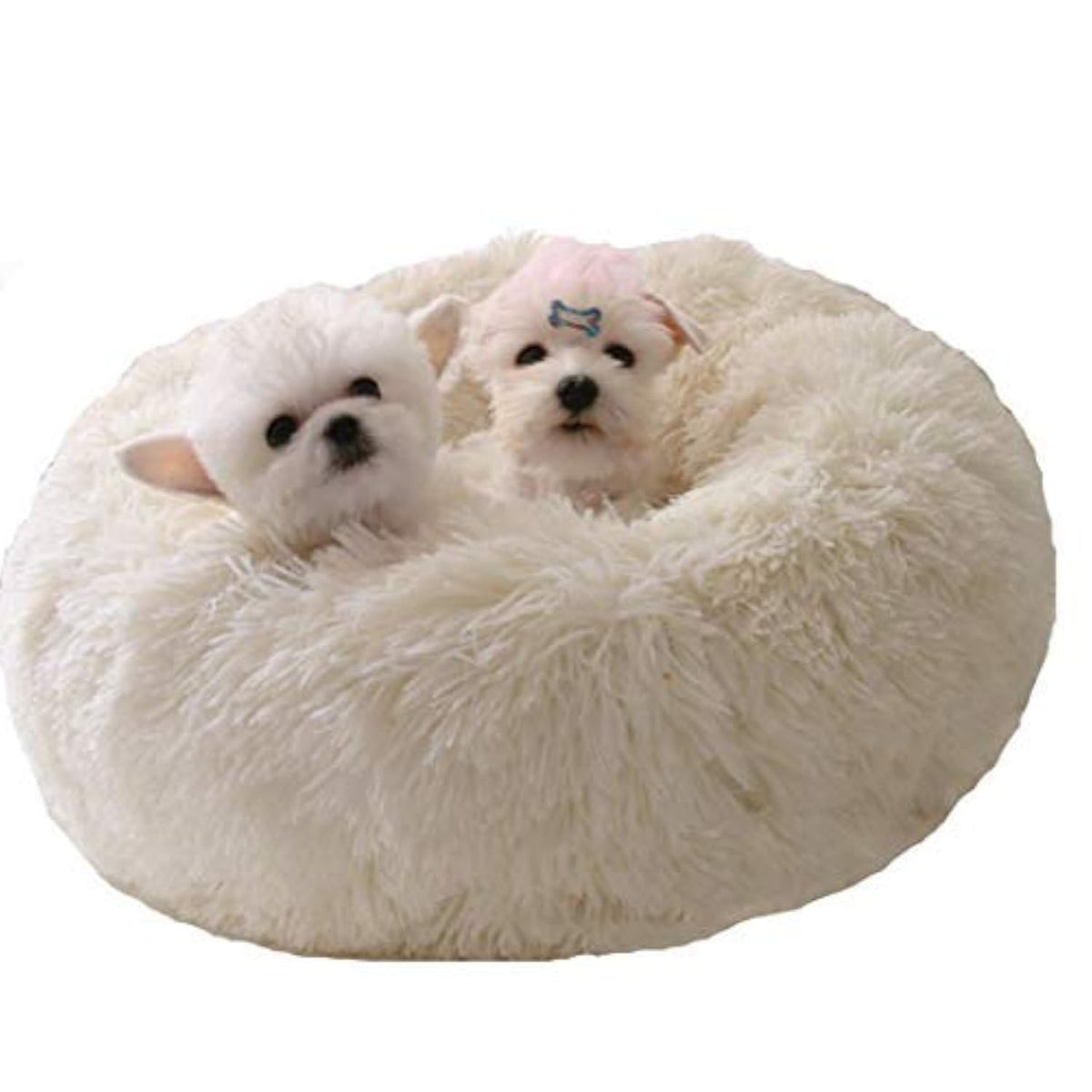 Cat Bed for Indoor Cats,Mini Plush Self Warming Kitten Bed, 20 Inch