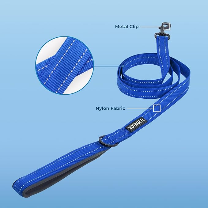 Best Pet Supplies Voyager Reflective Dog Leash or Collar with Neoprene Handle, for Small, Medium, and Large Breed Puppies, Cute and Heavy Duty for Walking, Running and Training - Royal Blue Leash, L