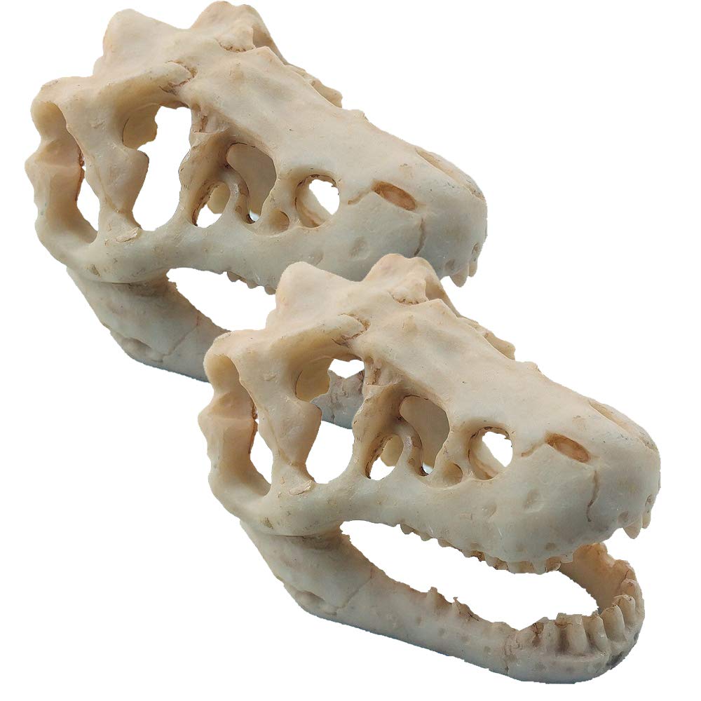 MTGHYARE 2 Pack Dinosaur Aquarium Decorations Skull Aquarium Ornament Mini Dinosaur Mold Decoration Tank Reptile Hide Decor with Holes Fish Tank Landscape Reptile Betta Fish Hideout Caves
