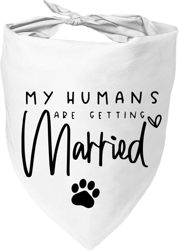 Baby Security in Training Dog Bandana Pet Scarf Pregnancy Announcement Dog Bandanas for Dogs Pet Accessories for Dogs Lovers Pregnancy Reveal Ideas (Black)
