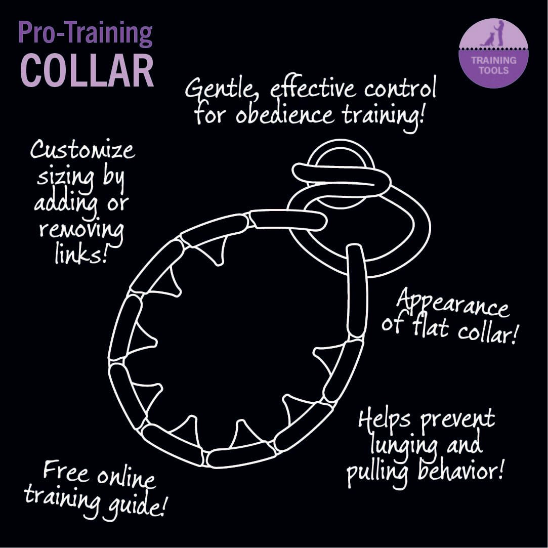 Starmark Pro-Training Dog Collar Small