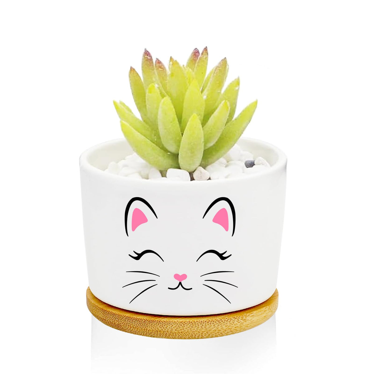 1Pcs Dog Window Garden Planter Pots with Drainage Tray, Ceramic Pot 3 Inch
