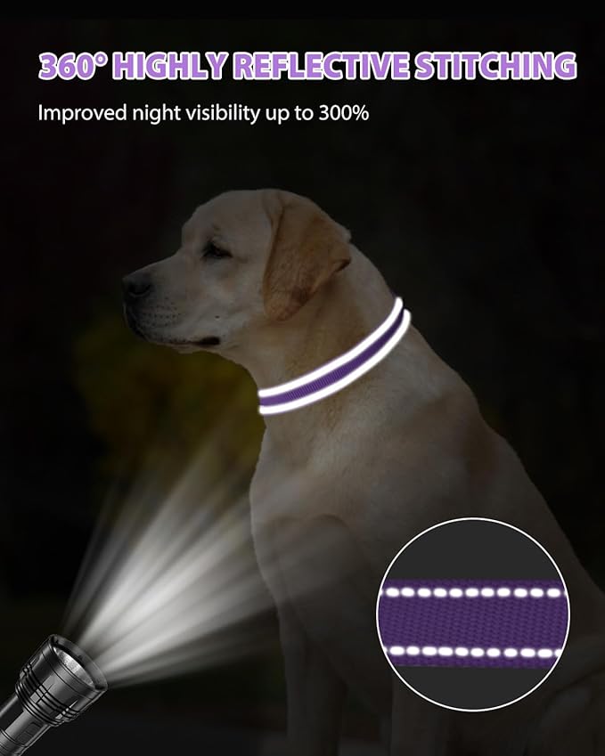 Joytale Dog Collars for Medium Dogs, Comfortable Double-Sided Reflective Nylon Collar for Night Safety, Adjustable Quick-Release for Active Pets, Purple, M (1" Width)