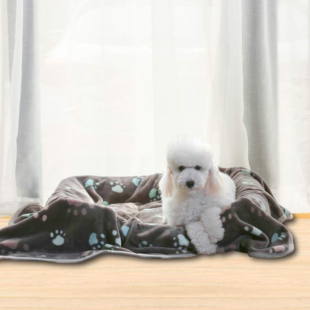 Allisandro 350 GSM Super Soft and Premium Fuzzy Flannel Fleece Pet Dog Blanket, The Cute Print Design Washable Fluffy Blanket for Puppy Cat Kitten Indoor or Outdoor, Grey, 64 x 40 Inches