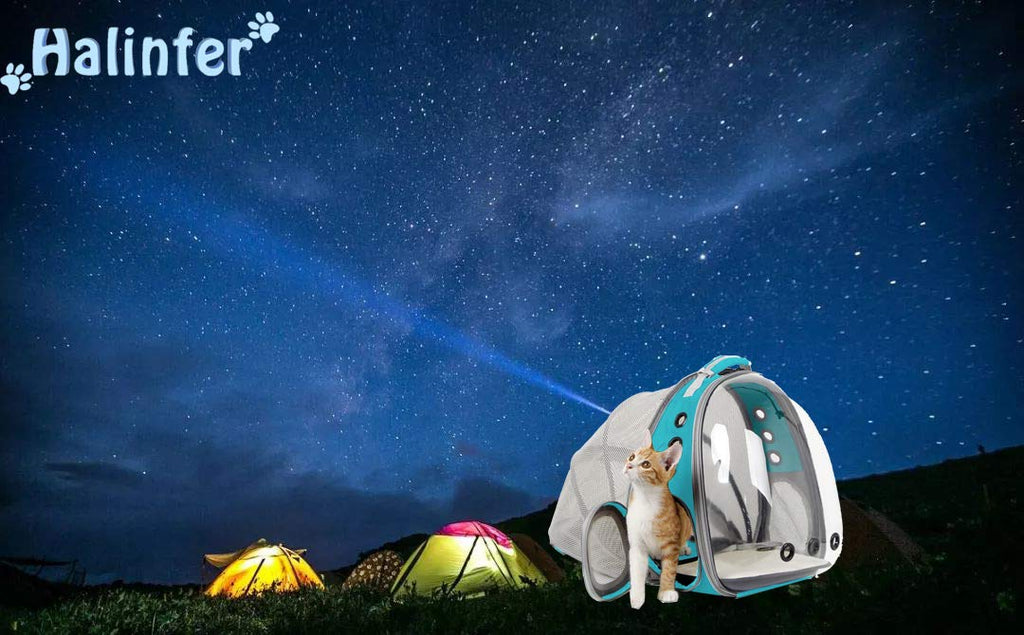 Back Expandable Cat Backpack Carrier, Fit up to 12 lbs, Space Capsule Bubble Window Pet Carrier Backpack for Cat and Small Puppy