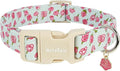 Astdogio Dog Collar for Medium Dogs, Spring &Summer Theme Blue Medium Dog Collars with Pink Rose Pattern, Adjustable Puppy Dog Collars, Cute Girl or Boy Dog Collar Ideal for Gifts,Pet Accessory
