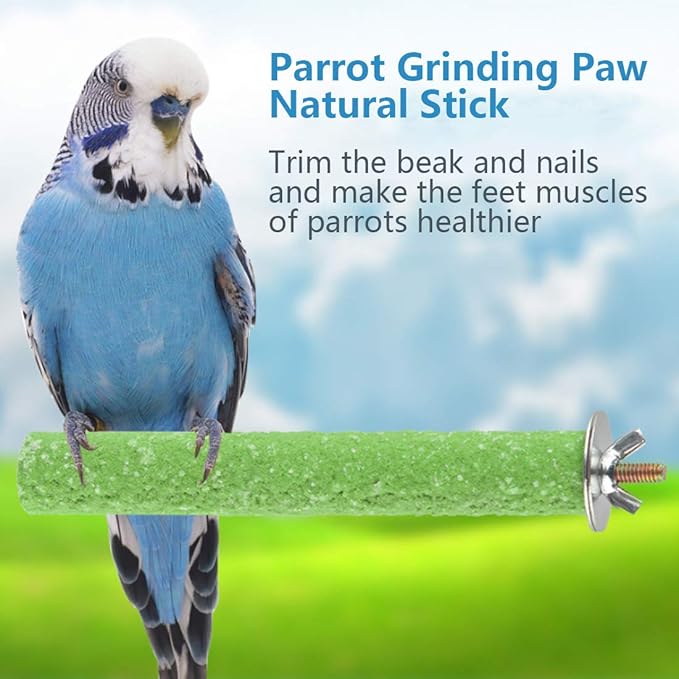 Hamiledyi Parrot Perch Stand Toy, Bird Cage Perch Toy,Natural Paw Grinding Stick for Small Parrots, Parakeets, Cockatiels, Lovebirds Chewing Stick(S)