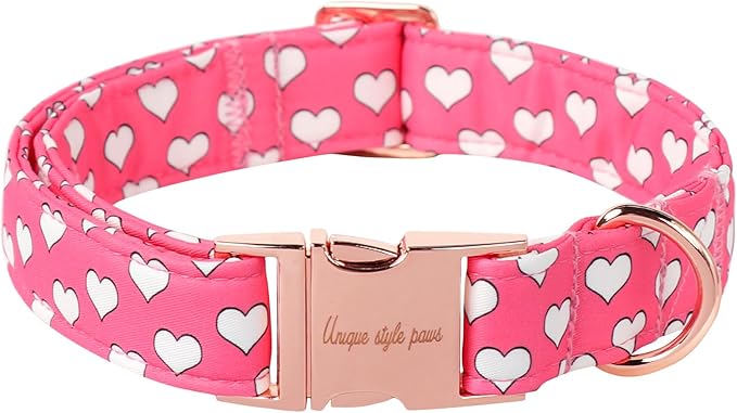 Unique style paws Dog Collar Metal Buckle Collar for Autumn Winter Christmas for Small Medium Large Boys Girls Dogs — S