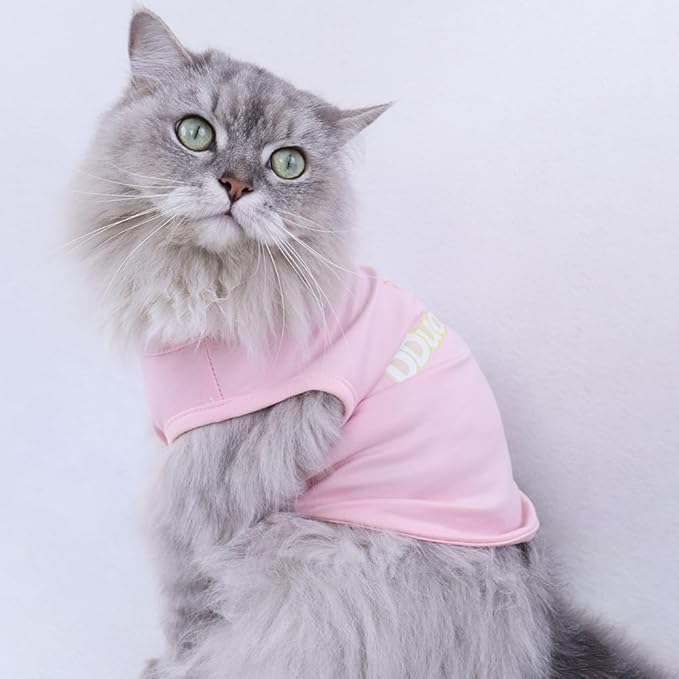 Custom Dog Shirt,Personalized Pet Apparel with Name Text Photo Image,Lightweight Breathable Puppy Kitten Cotton Vest for Small Medium Large Dogs Cats,Puppy Gift (Black, Medium)
