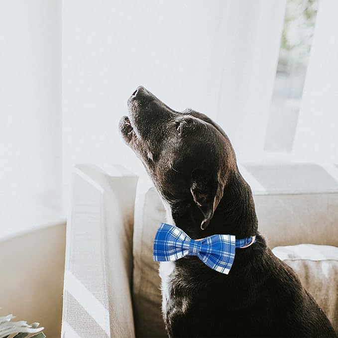 Lionheart glory Dog Collar, Boy Dog Collar Bowtie Blue Adjustable Dog Bowtie Collar Bows Dog Collar for X-Small Puppy