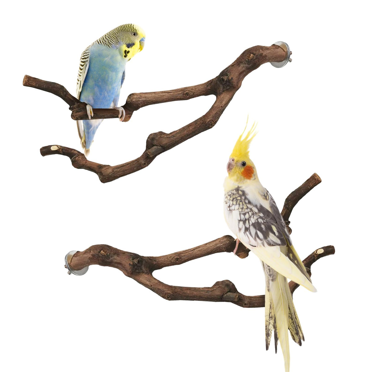 PINVNBY Natural Parrot Perch Grape Wood Bird Stand Pole Parakeet Paw Grinding Fork Chewable Climbing Branches Toy Bird Cage Accessories for Budgies Conures Cockatiels Lovebirds (2 PCS, 5.9IN)