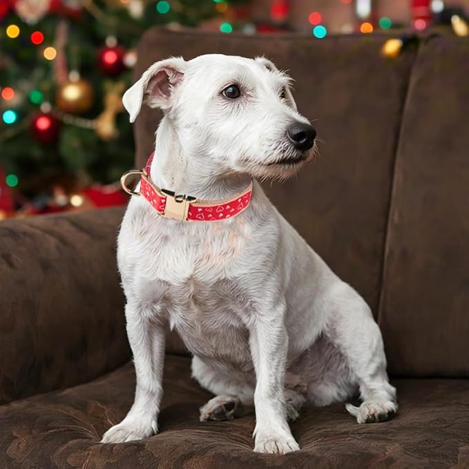 YUDOTE Woven Dog Collar with Metal Buckle Adjustable Jacquard Retro Dog Collars for Small Medium Large Dogs(Red Heart,M)