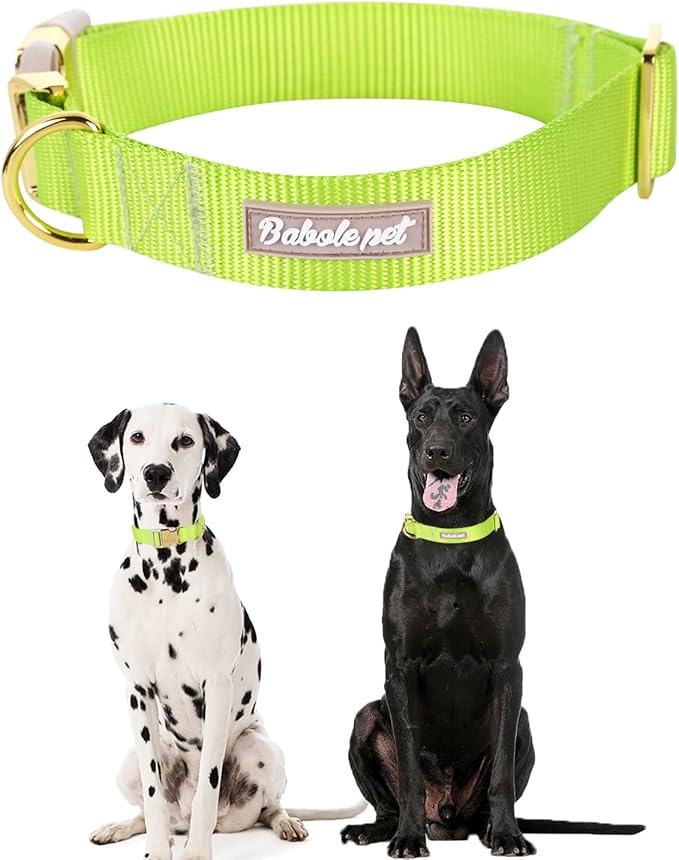Babole Pet Nylon Dog Collar - Adjustable Fluorescent Green Soft Webbing Dog Collars for Small Medium Large Dogs Boy Girl Puppy Collar with Safety Metal Buckle L