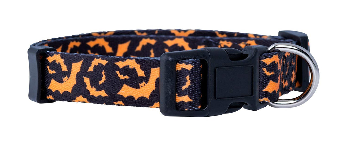Native Pup Halloween Dog Collar (Small, Bats)
