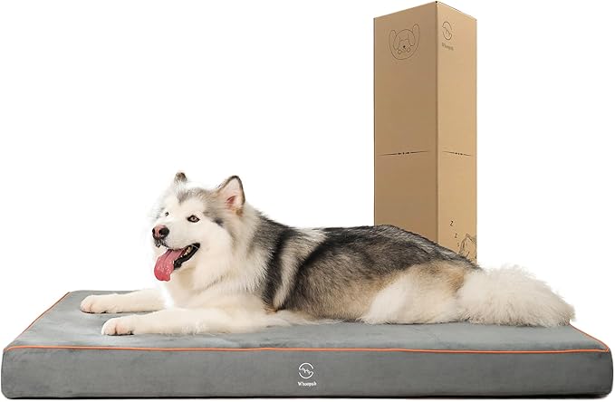 Whoopub Hard-Wearing Orthopedic Dog Bed for Crate, 53x36 Inch, Made of Memory and HR Foam, Two-Sided Use, Providing Soft and Relatively Hard Support, with an Extra Inner Waterproof Protector (Gray)