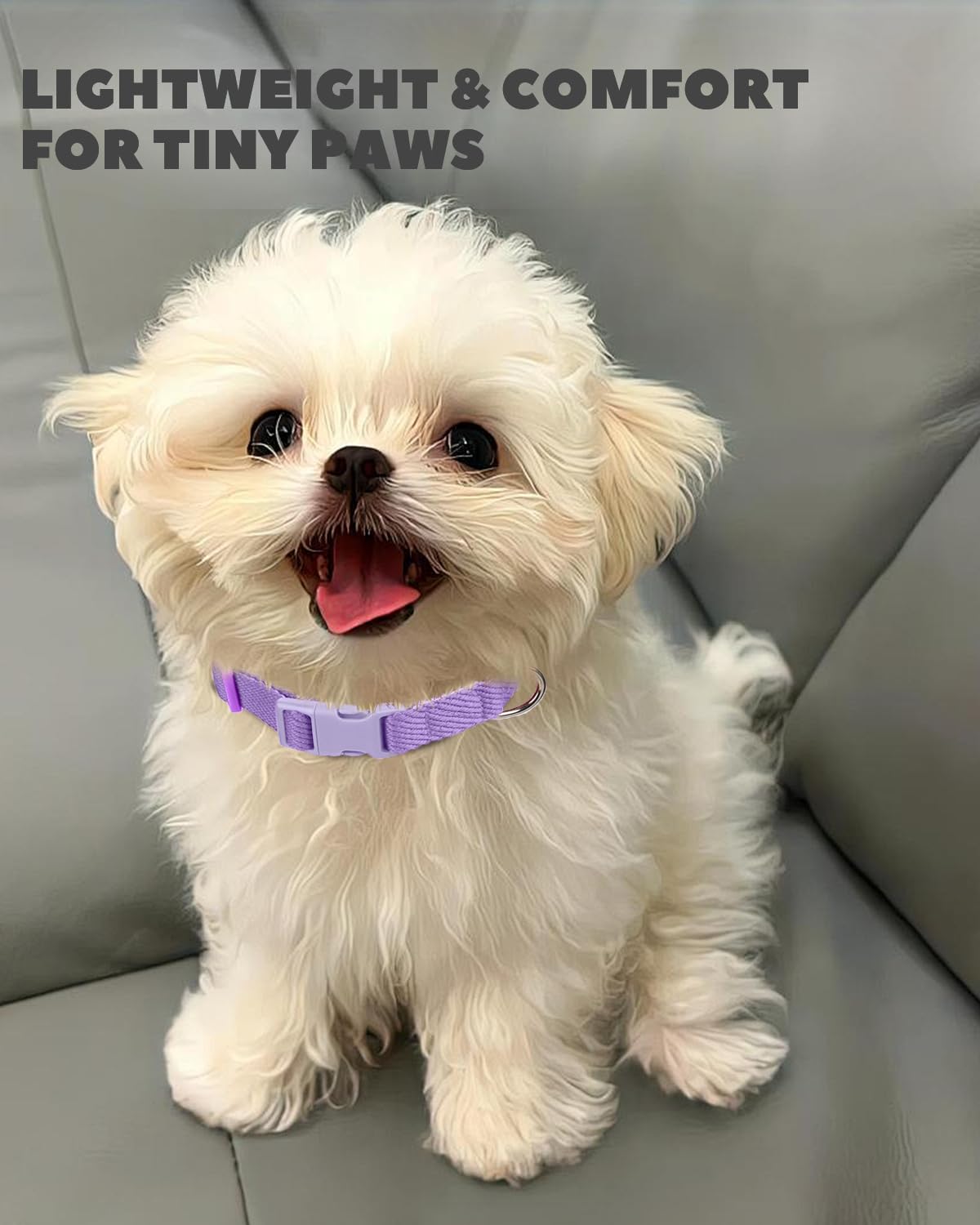 Dynmeow Soft and Breathable Cotton Dog Collar, Durable Adjustable Female Girl Pet Collar with Quick-Release Buckle, Lightweight for Sensitive Skin for Puppies and Extra-Small Dogs, Purple, Xs
