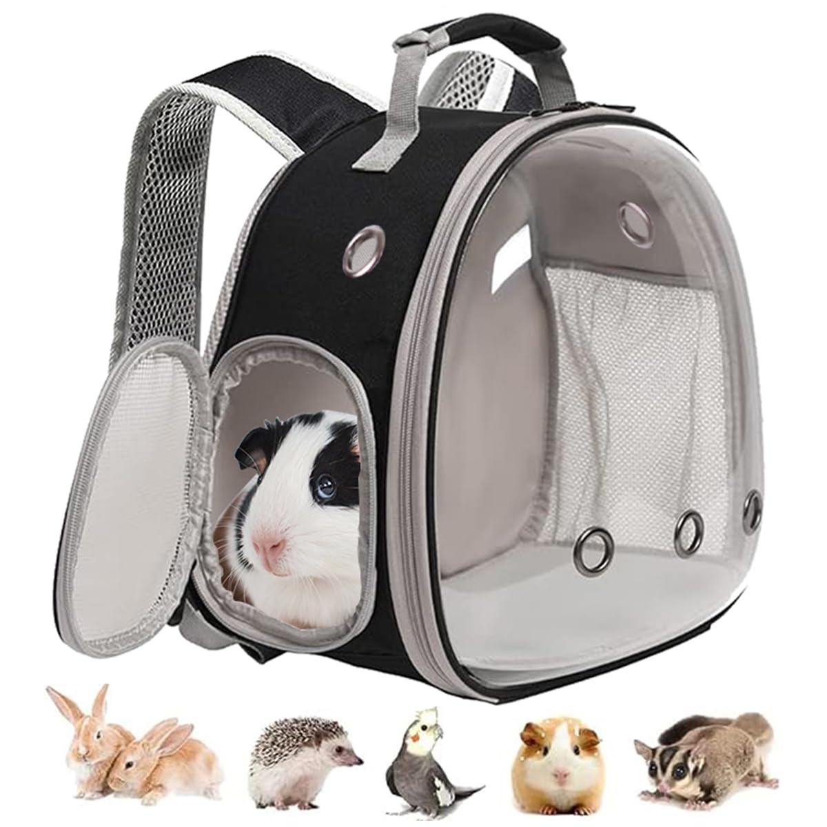 Guinea Pig Carrier, Small Animal Bird Rabbit Turtle Carrier Bag, African Hedgehog Portable Travel Carrier Outdoor Hangbag, Bird Rabbit Guinea Pig Squirrel Carrier