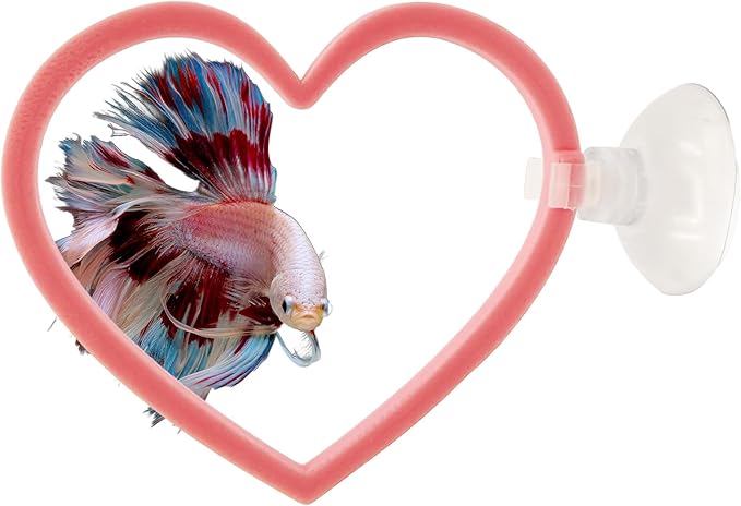 CTWPets Heart Betta Ring, Enrichment Toy & Pink Fish Tank Decor, 2 Pack
