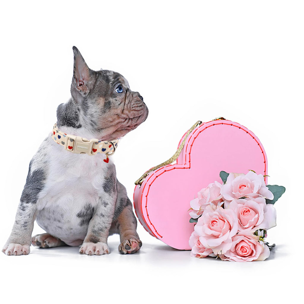 DOGWONG Valentine's Dog Collar-Hearts Print Dog Collar for Large Cute Dog Collars Spring Female Male Pet Gift Adjustable Heavy-Duty Soft Collar，XL