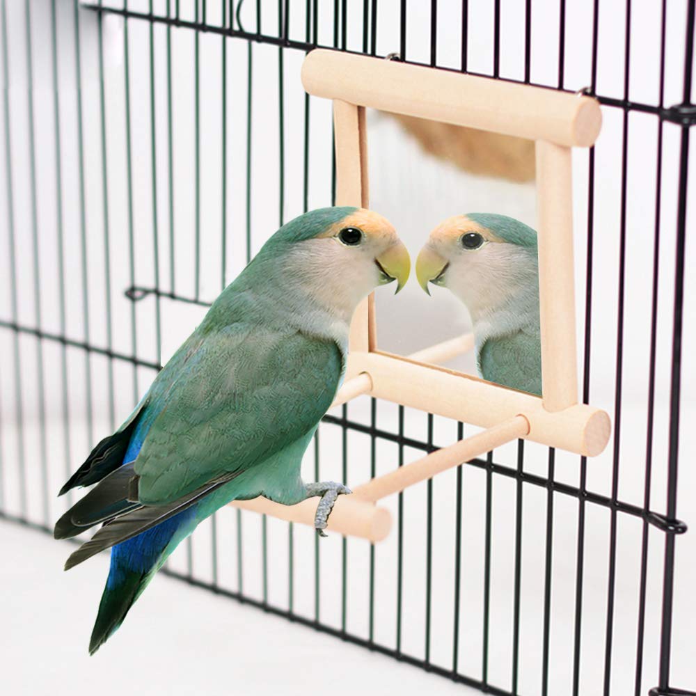 HANZE Bird Mirror Swing with Rattan Ball | Natural Wood Parrot Toy with Metal Hooks for Macaws, Cockatiels, Parakeets, Lovebirds | Safe Chewing & Mental Stimulation - 2 Pack
