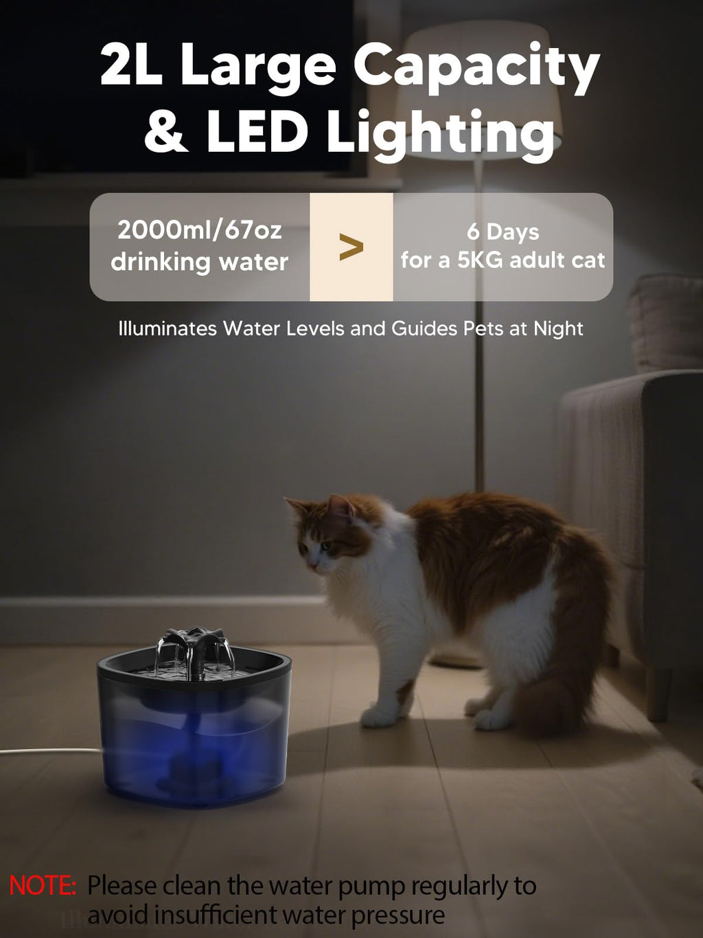Automatic Cat Feeder