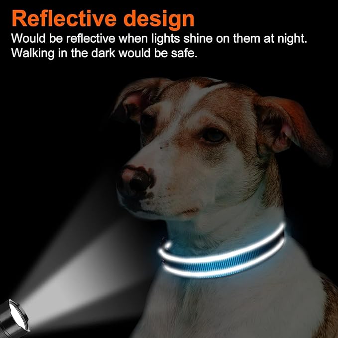 Joytale Reflective Dog Collar, Adjustable Neoprene Padded, Sky Blue L