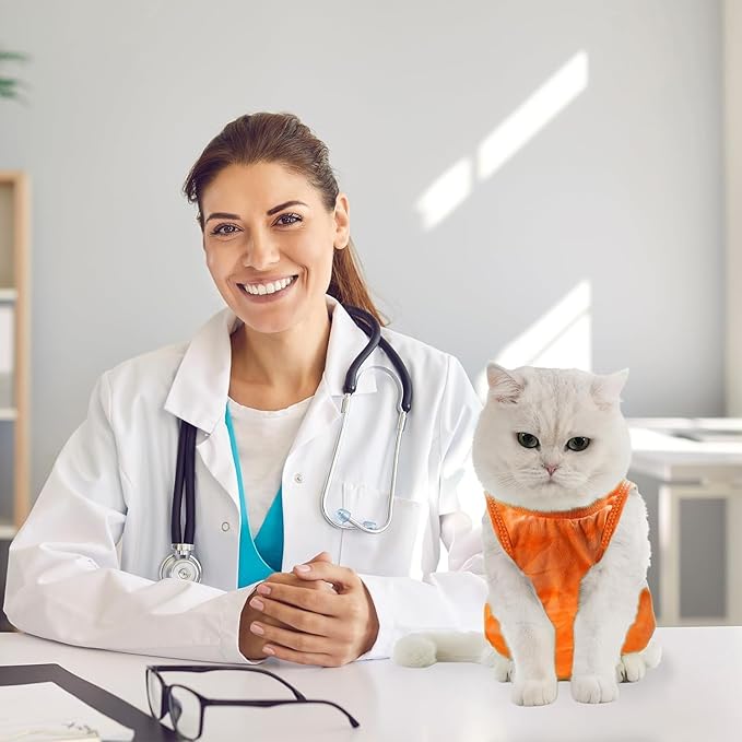 Avont Cat Recovery Suit - Kitten Onesie for Cats After Surgery