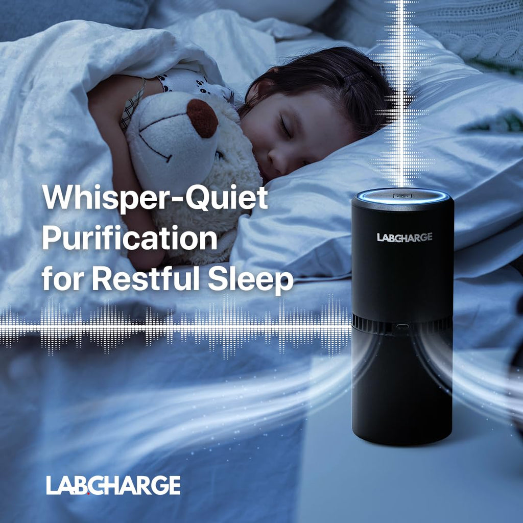 Lab Charge Small Ionic Air Purifier for Home & Bedroom – Silent HEPA Filter – Covers 250 Sq Ft - Free Cleaner – Compact & Black Design - Pack of 4