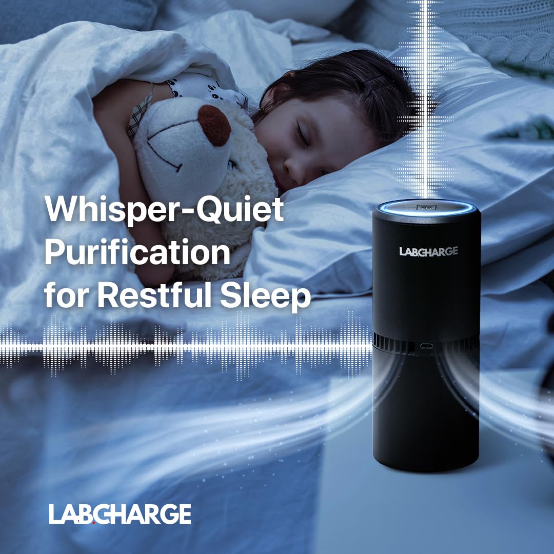 LabCharge Small Ionic Air Purifier for Home & Bedroom – Silent HEPA Filter – Covers 250 Sq Ft – For Pet Hair, Smoke, Dust, Odors & Dander – Compact Black Design – Pack of 5