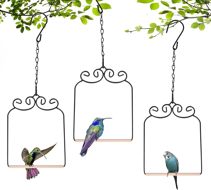 XYADX Metal Frame Hummingbird Swings and Perches with Wooden Dowel Black Bird Swing Outdoor Bird Perch Humming Bird Swing (4PK)