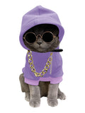 QWINEE 3Pcs Dog Hoodie Cat Apparel Dog Custume Set with Necklace and Sunglasses Pet Clothes for Puppy Small Medium Dogs Cats Mauve Purple Large