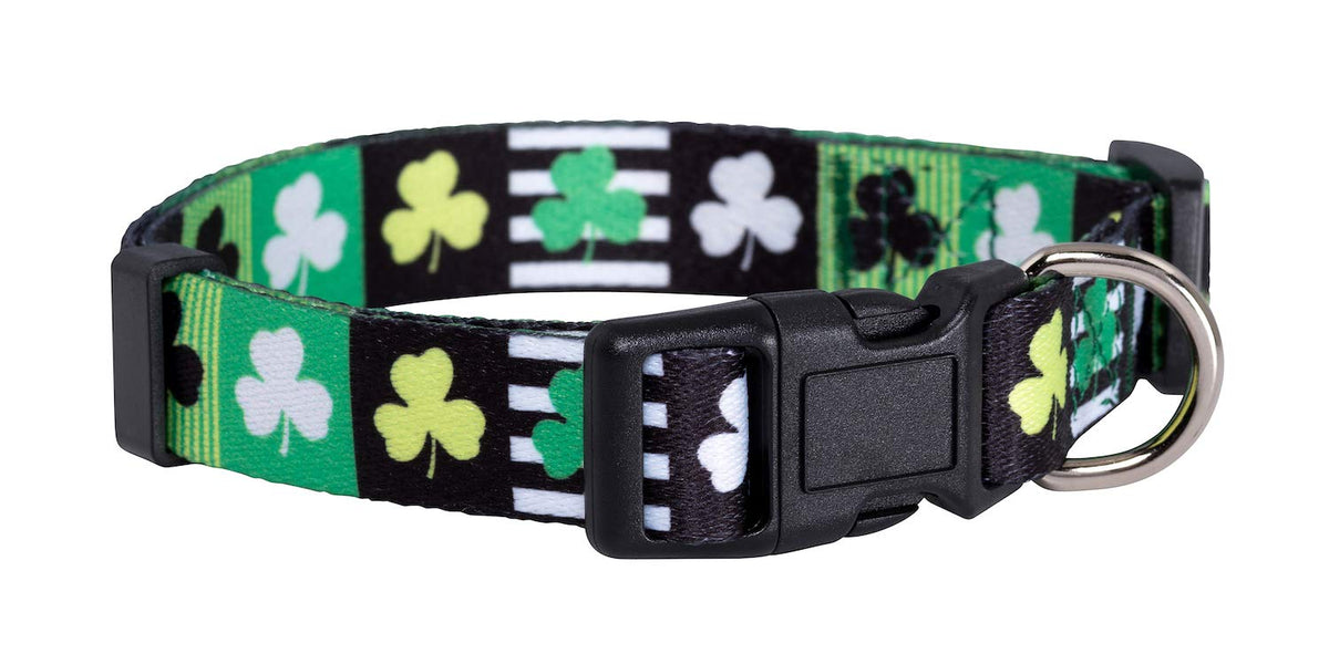 Native Pup Valentine’s Dog Collar- Valentines Day Pet Collars- Valentine Girly Hearts- Pink Red Heart- Cute Boy Girl Puppy Gift- Adjustable for Small, Medium, Large Breeds (Blue & Pink Hearts, Medium)