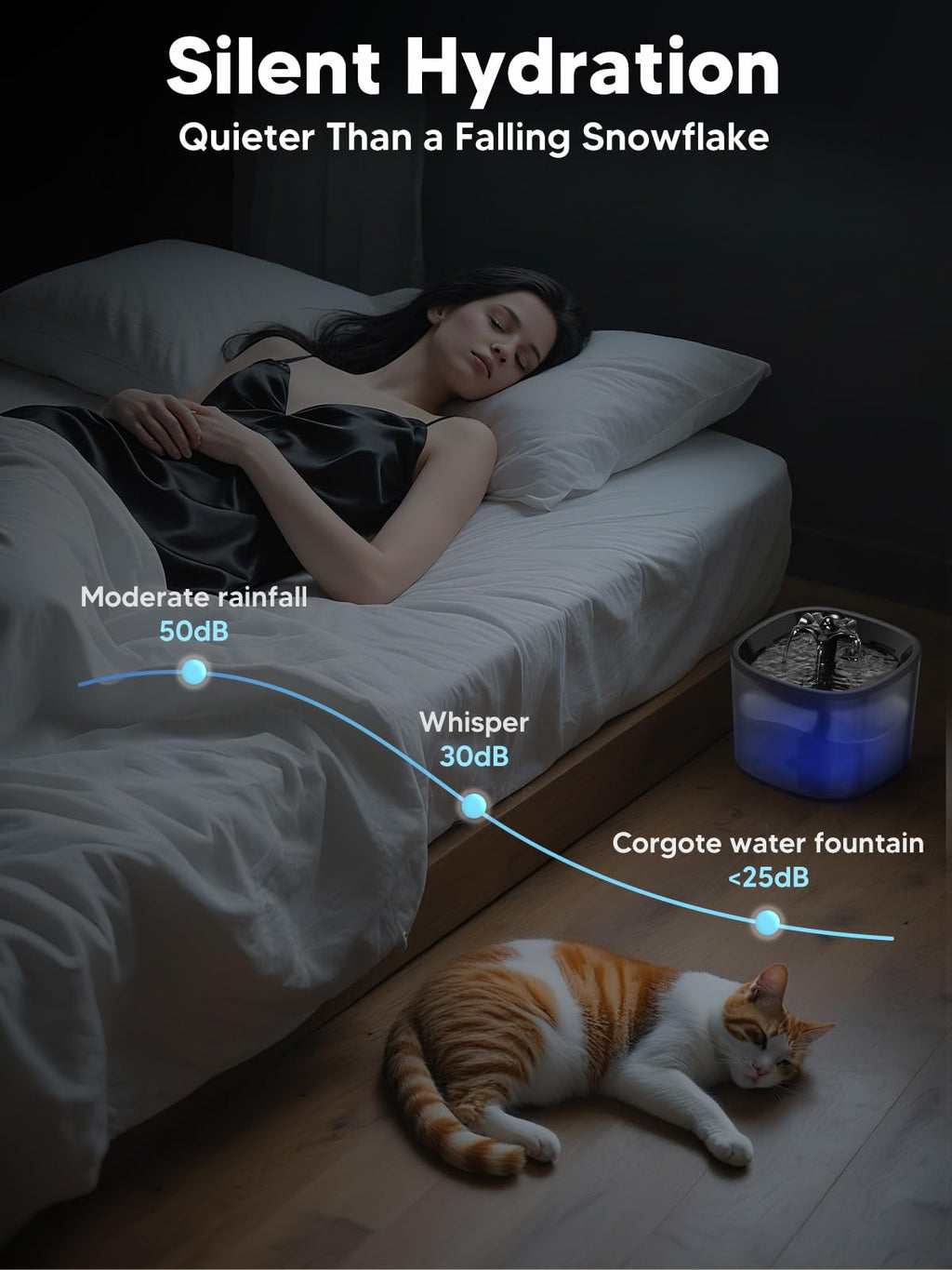 Automatic Cat Feeder