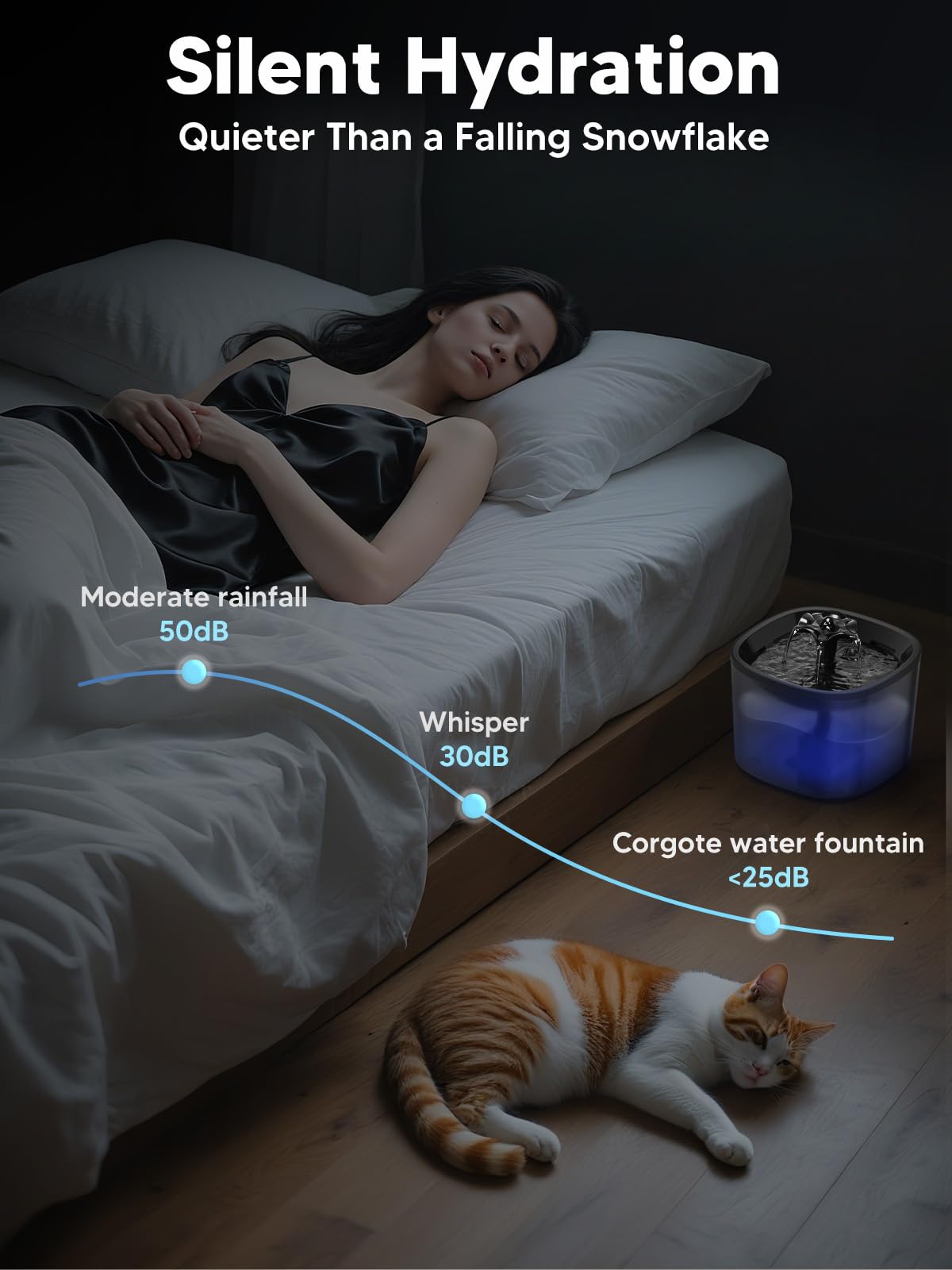 Automatic Cat Feeder