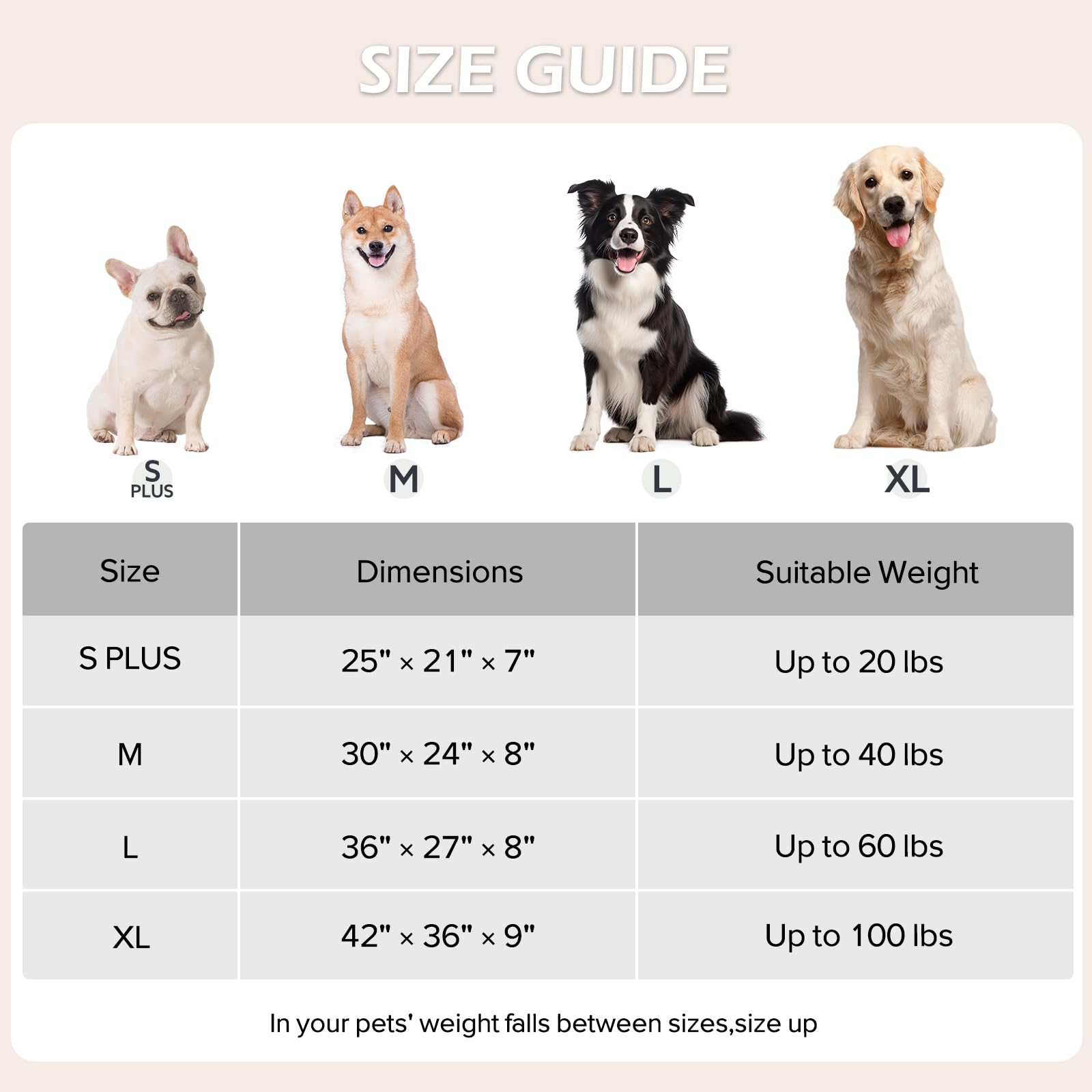 JOEJOY Cute Dog Bed Medium Size Dog, Rectangle Soft Furry Dog Beds for Large Medium Dogs, Washable Orthopedic Pet Bed with Removable Zipper Cover, Grey